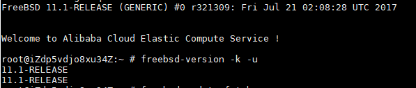 upgrade-freebsd-1.png