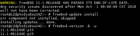 upgrade-freebsd-3.png