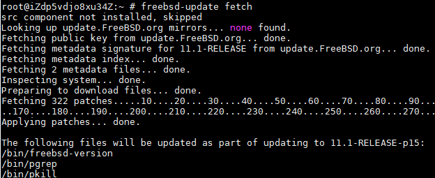 upgrade-freebsd-2.png